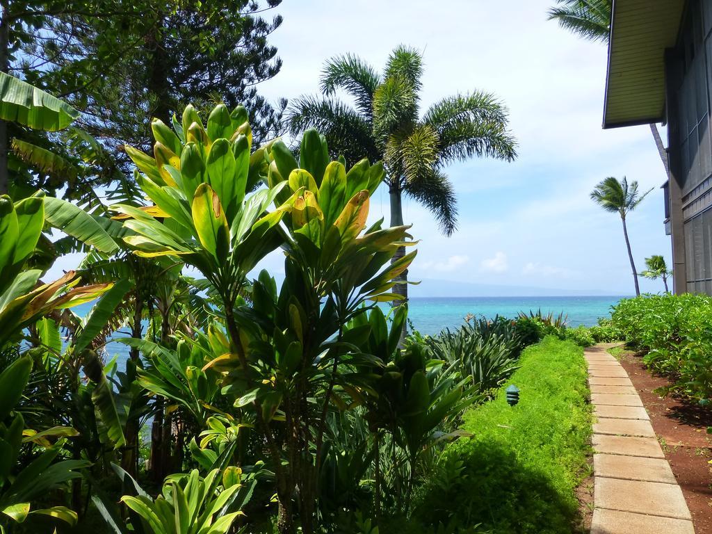Mahina Surf 220 By Redawning Aparthotel Lahaina Esterno foto
